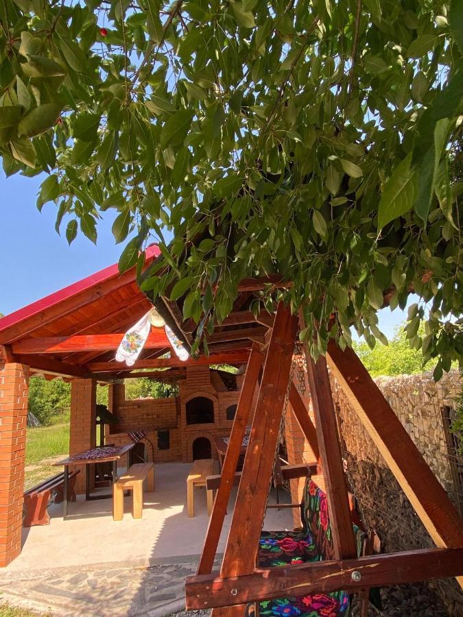 Pensiunea Montana Săpînţa Εξωτερικό φωτογραφία