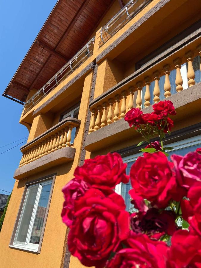 Pensiunea Montana Săpînţa Εξωτερικό φωτογραφία